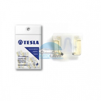 FL 25А предохранитель TESLA FL00025010 50 шт. в Новосибирске - AUTOLAMP FL 25А предохранитель TESLA FL00025010 50 шт.